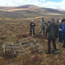 vegetation assessment