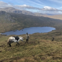Outer Hebrides, Eishken Estate 2019