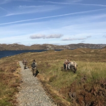 Returning Home