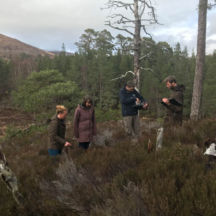 Habitat assessment day in Gobus Pine Forest Glen Affric